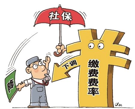新變化！社保繳納費(fèi)率下降，對(duì)線束加工廠有什么影響？